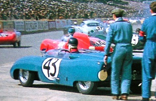 43