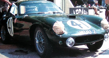 41